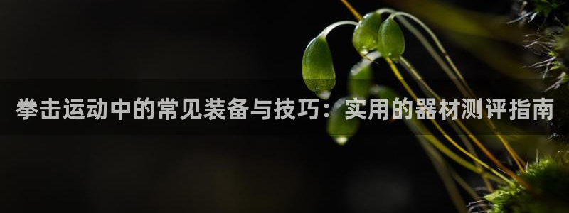 哈哈体育网址集团官网：拳击运动中的常见装备与技巧：实用的器材